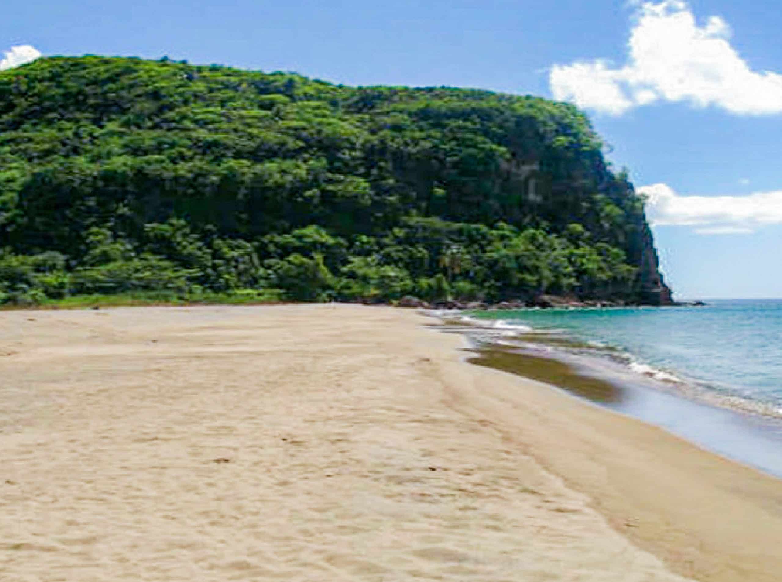 Beachfront Investment Property for Sale