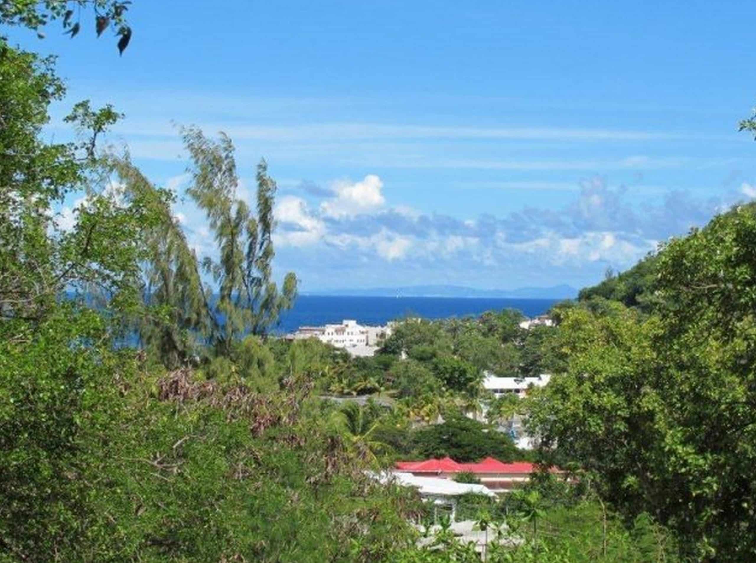 Bamboo Circle Becune Point