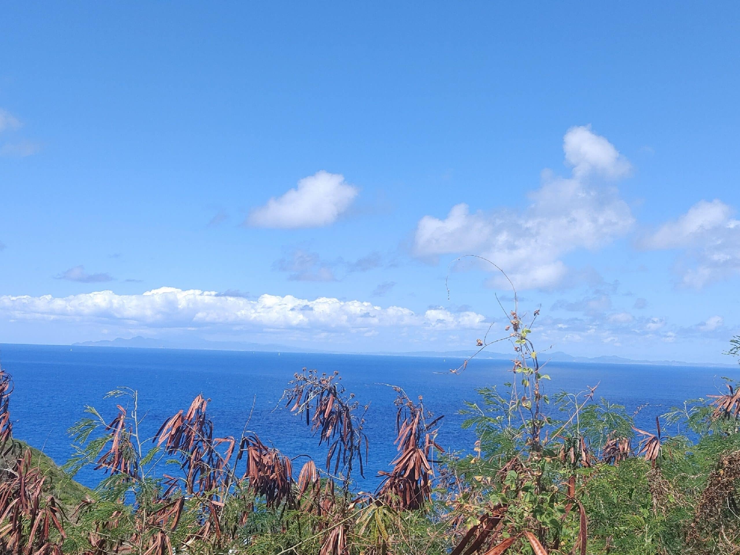 Cliff-Side Lot in Mt. Hardy – Unparalleled Ocean Views & Privacy