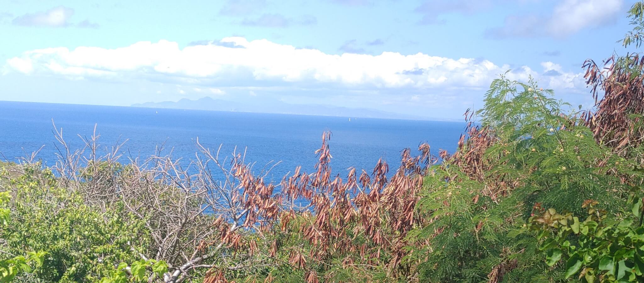 Cliff-Side Lot in Mt. Hardy – Unparalleled Ocean Views & Privacy