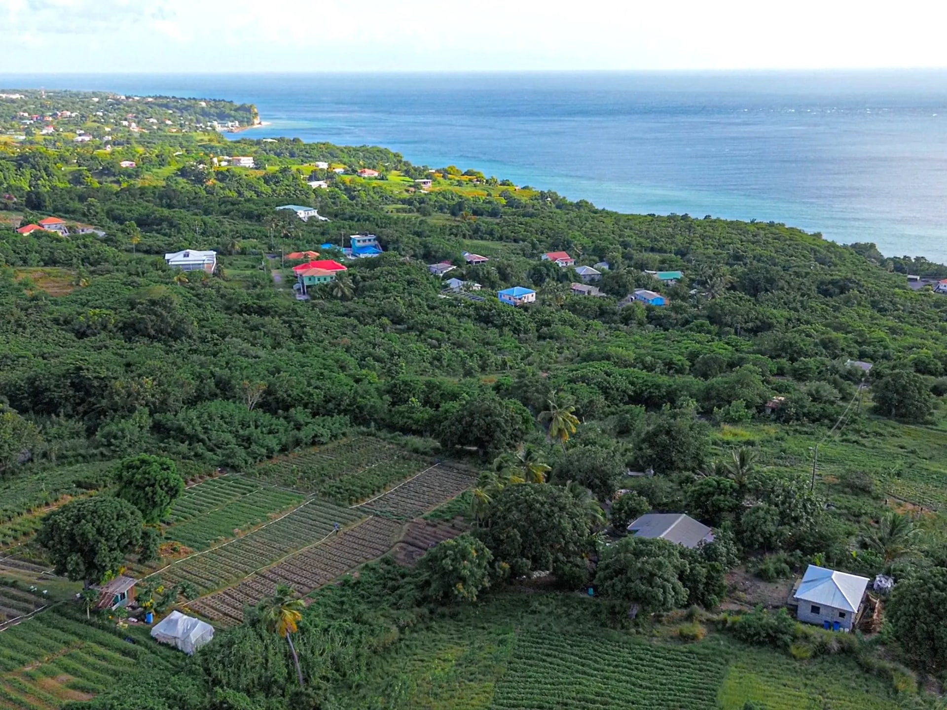 The Elevated Coastal Escape